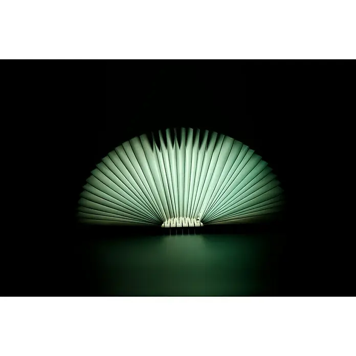 LED-Nachtlicht Book - Braun/Transparent, 2,5 x 9 x 12,3 cm, RGBW