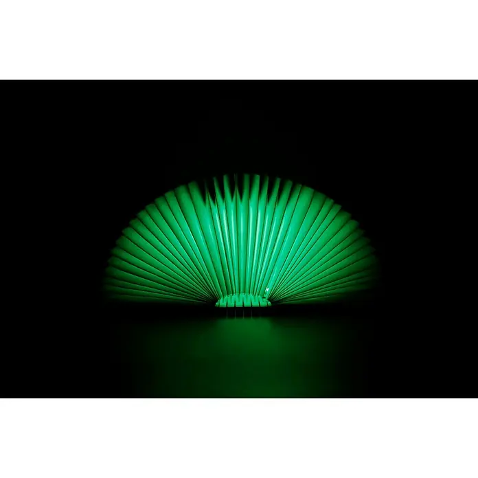 LED-Nachtlicht Book - Braun/Transparent, 2,5 x 9 x 12,3 cm, RGBW
