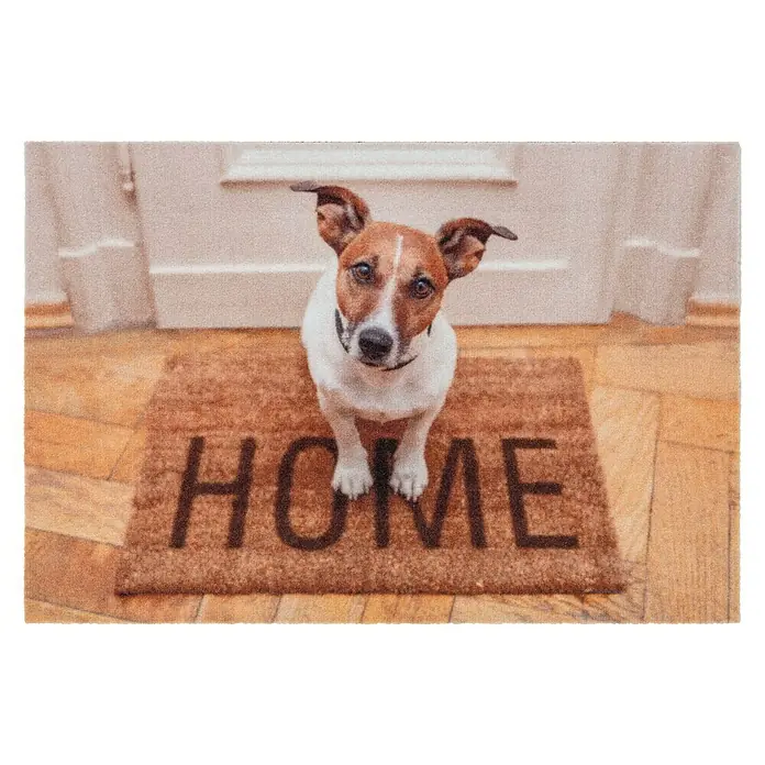 Astra Deco Sauberlaufmatte Print - Hund, Bunt, 40 x 60 cm, 100 % Polyamid - Ansicht von oben