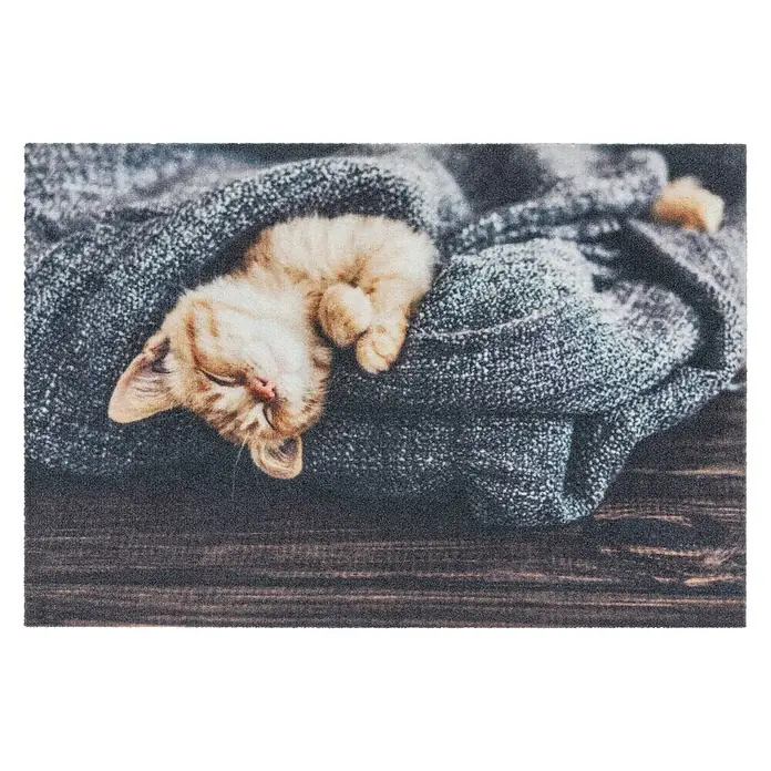 Astra Deco Sauberlaufmatte Print - Katzen, Bunt, 40 x 60 cm, 100 % Polyamid - Ansicht von oben