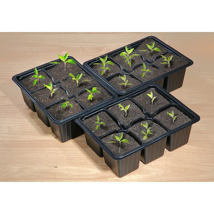 Floraworld Tegla za uzgoj biljaka - D x Š x V: 18 x 13,5 x 6 cm, 60 kom, Crne boje - Proizvod u upotrebi