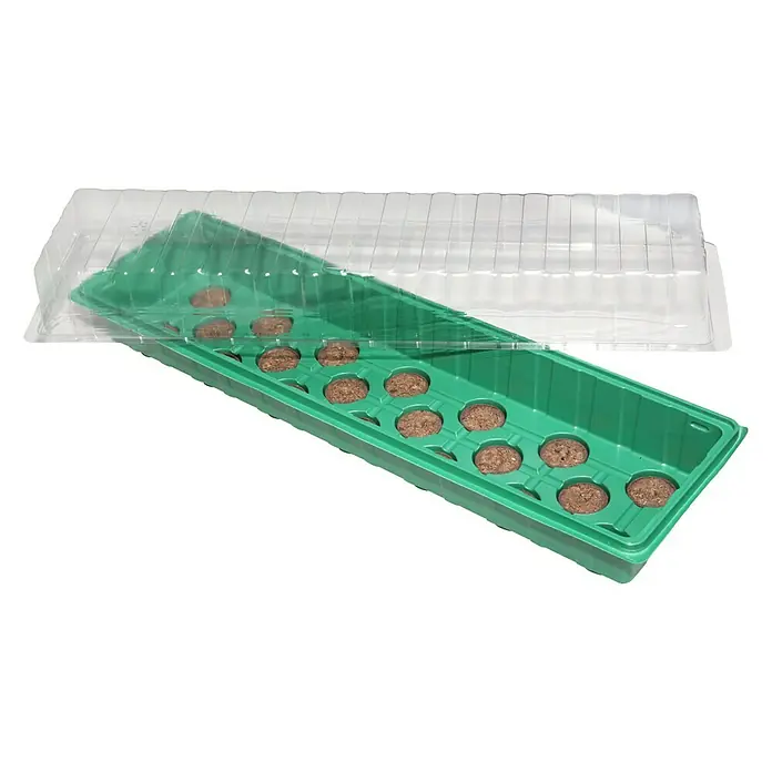 Floraworld Sobni staklenik - D x Š x V: 54,5 x 15,5 x 12 cm, Zelene boje, S 20 tresetnih posuda - Pogled s desne strane