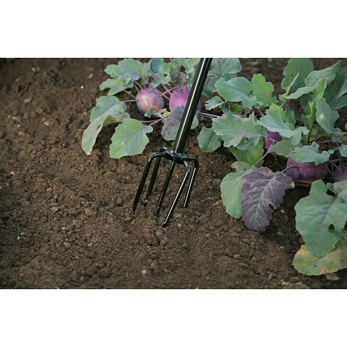 Freund Victoria Pinzas para jardinería - Número de púas: 5, Con mango - Producto en uso