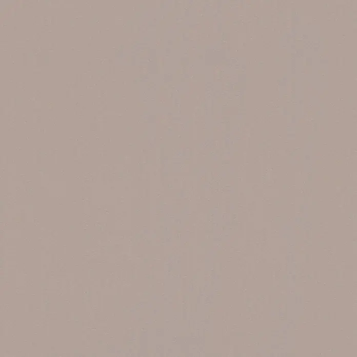 AS Creation Vliestapete - Taupe, Uni, 10,05 x 0,53 m - Detailaufnahme