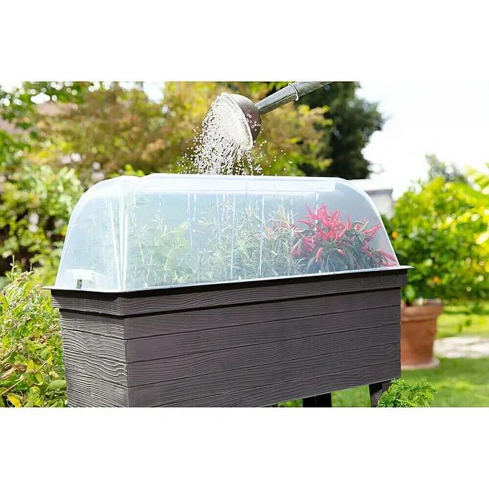 Garantia Urban Anzuchthaube - 75 x 37 x 22 cm, Passend für: Garantia Urban Hochbeet - Anwendungsbeispiel