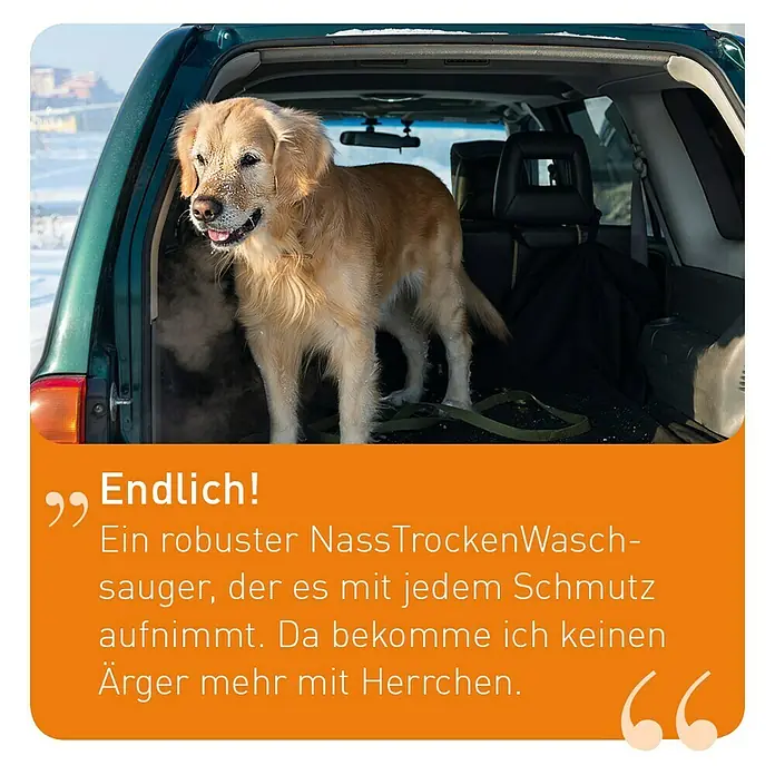 Thomas Waschsauger Boxer - 1.400 W, Behältervolumen: 6 l
