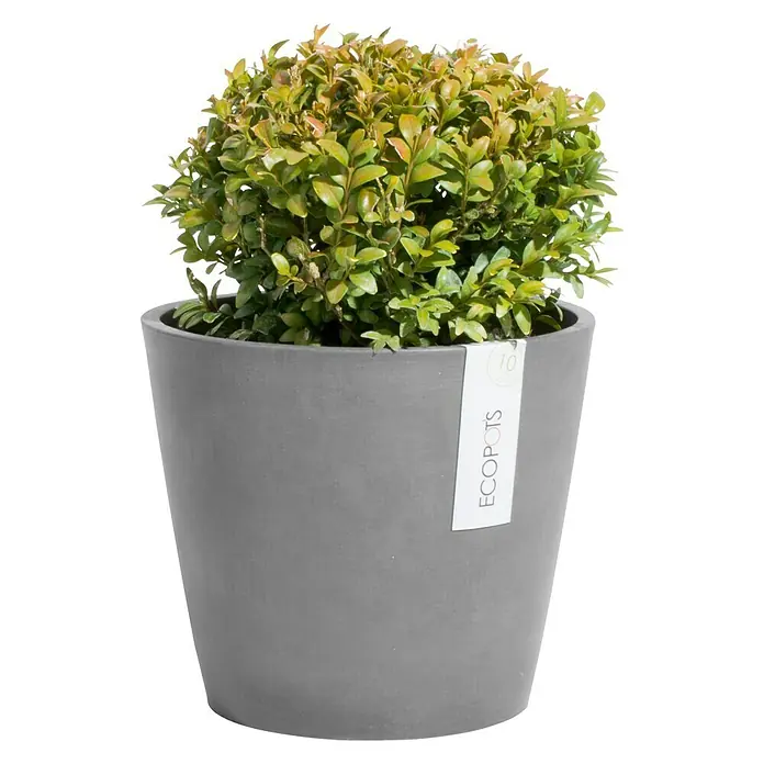 Ecopots Amsterdam Pflanztopf Amsterdam - Außenmaß (Ø x H): 30 x 26 cm, Kunststoff, Grau