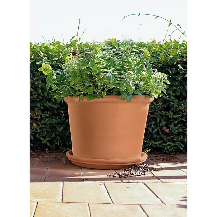 Deroma Pflanztopf - Außenmaß (Ø x H): 28 x 23 cm, Naturmaterialien, Terracotta