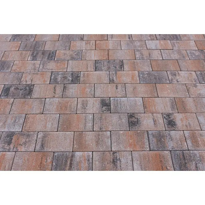 Seesteiner Pflasterstein Piazza - L x B x S: 22,5 x 15 x 5 cm, Muschelkalk, Beton