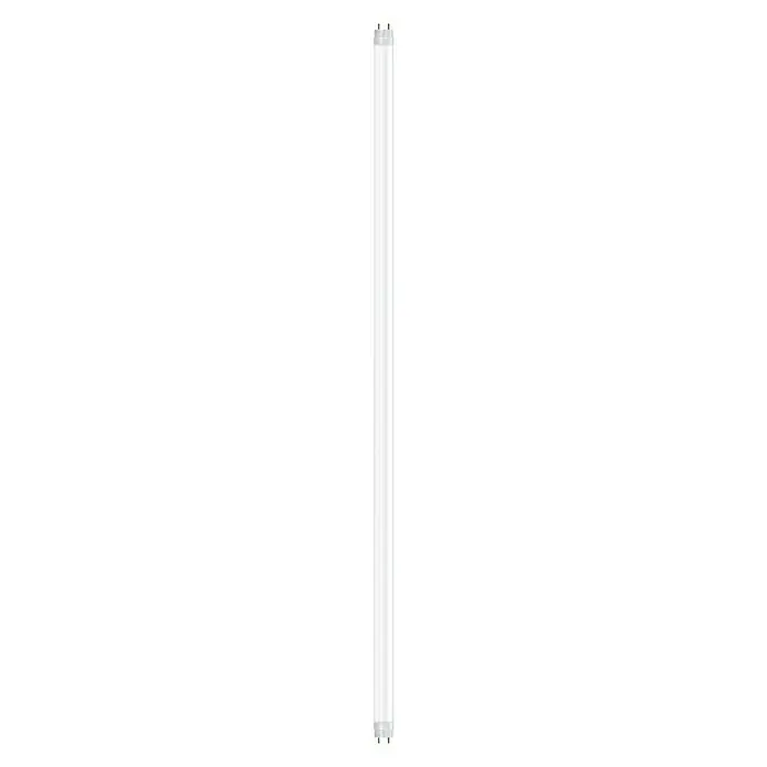 Osram SubstiTube Basic LED-Röhre T8 EM Motion Sensor - 6,8 W, 60,4 cm, Kaltweiß, 1.100 lm - Vorderansicht