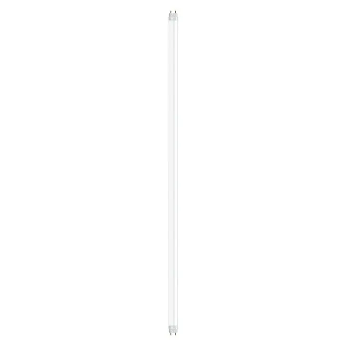 Osram SubstiTube Basic LED-Röhre T8 EM Motion Sensor - 6,8 W, 60,4 cm, Kaltweiß, 1.100 lm - Vorderansicht