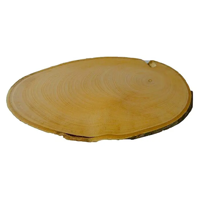 Disco de tronco de madera Oval - Castaño, Sin tratar, Diámetro: 15 cm - 20 cm