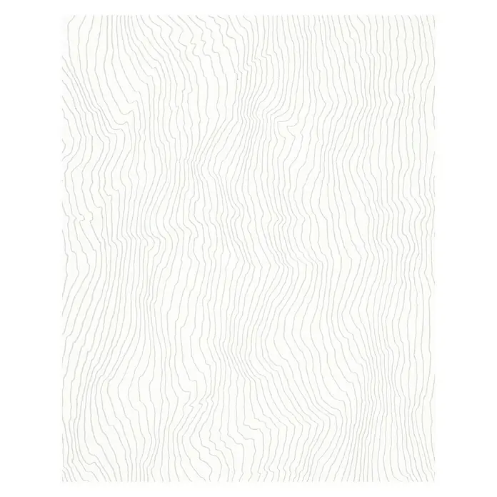 SCHÖNER WOHNEN-Kollektion Vliestapete Maserung - Weiß/Grau, Grafisch, 10,05 x 0,53 m - Vorderansicht