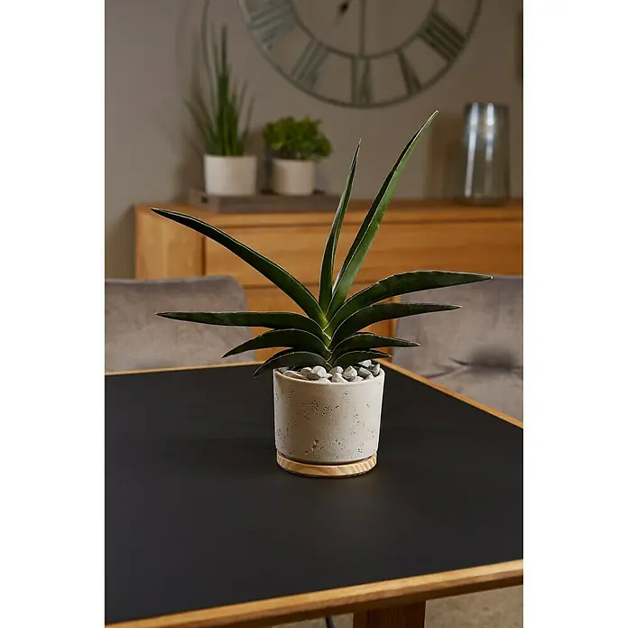 Soendgen Keramik Übertopf rund Paros Deluxe - Außenmaß (Ø x H): 16 x 14 cm, Hellgrau, Holz - Stimmungsaufnahme