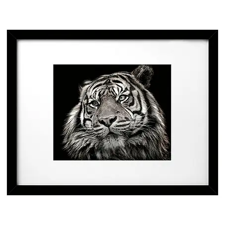 Cuadro Tigre