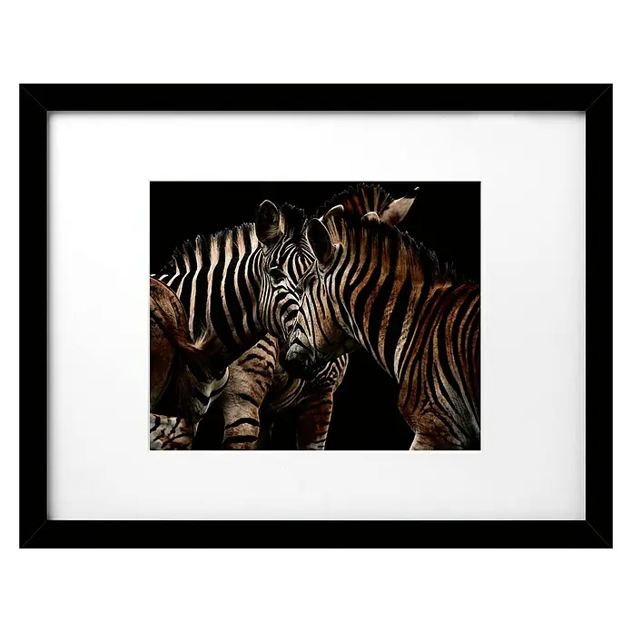 Cuadro Cebras - Zebras, An x Al: 40 x 30 cm