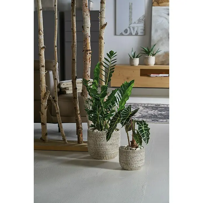 SK Vase Portland - Ø x H: 22 x 50 cm, Beige, Keramik - Stimmungsaufnahme