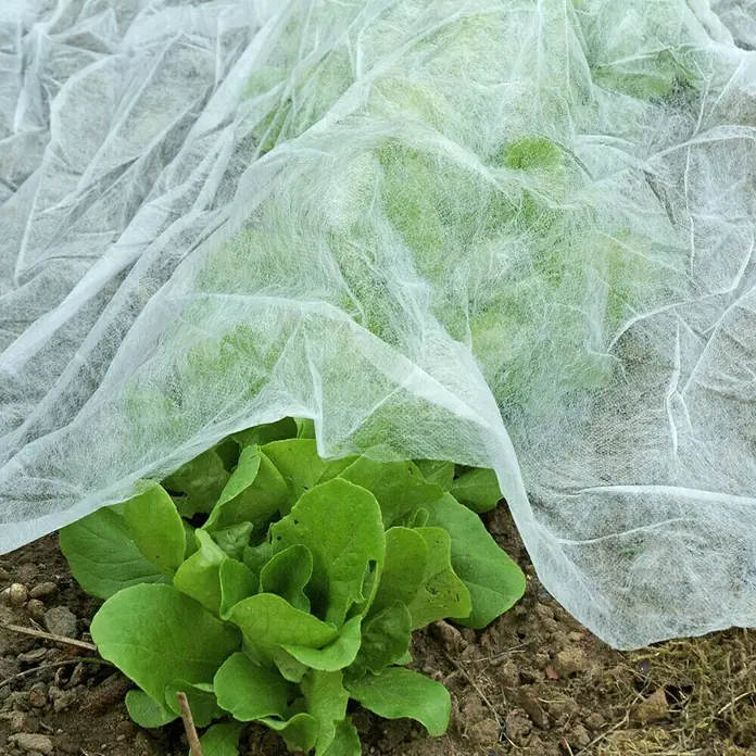 Gartenvlies - 10 x 1,5 m, Grammatur: 17 g/m² - Anwendungsbeispiel