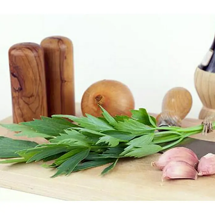 Piardino Liebstöckel Bio - Levisticum officinale - Stimmungsaufnahme