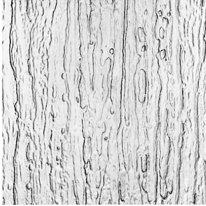 Kunstglas Türfüllung - 142 cm x 53,5 cm x 5 mm, Baumrinde, Polystyrol - Vorderansicht