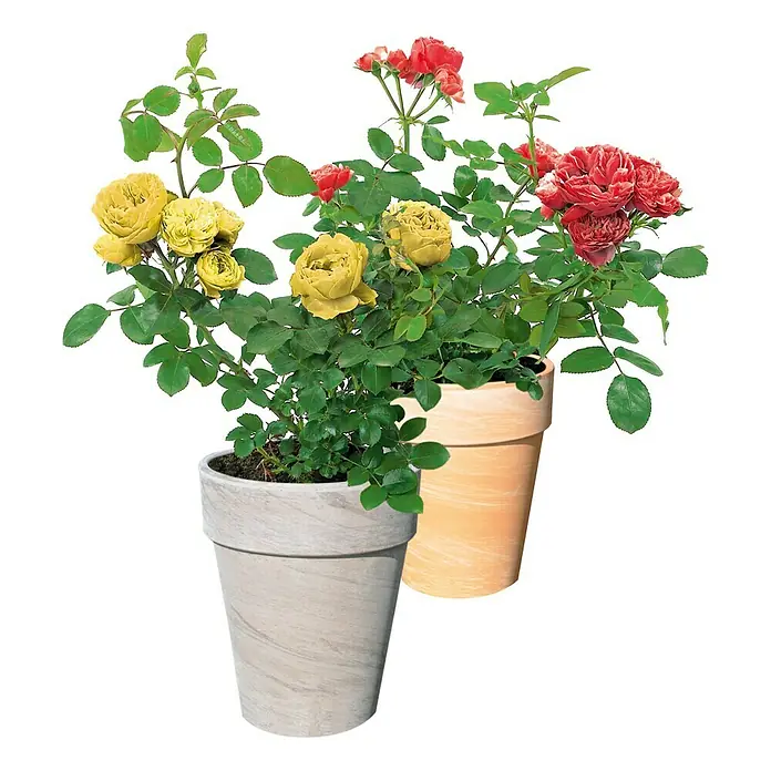 Pflanztopf - Außenmaß (Ø x H): 26 x 31 cm, Naturmaterialien, Basalt