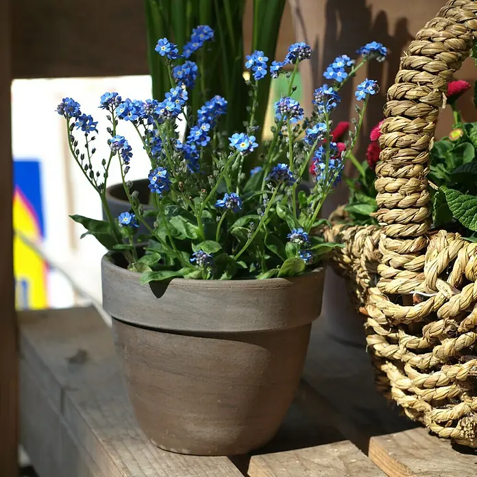 Pflanztopf Levante - Außenmaß (Ø x H): 26 x 22 cm, Naturmaterialien, Basalt - Stimmungsaufnahme