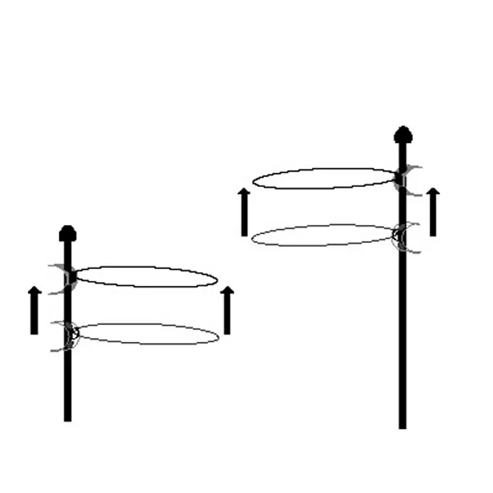 Bellissa Pflanzenstab - Länge: 75 cm - Anwendungsbeispiel