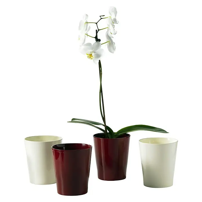 SK Orchideentopf Merina - Außenmaß (Ø x H): 7 x 8 cm, Keramik, Vanilla, Glänzend - Stimmungsaufnahme