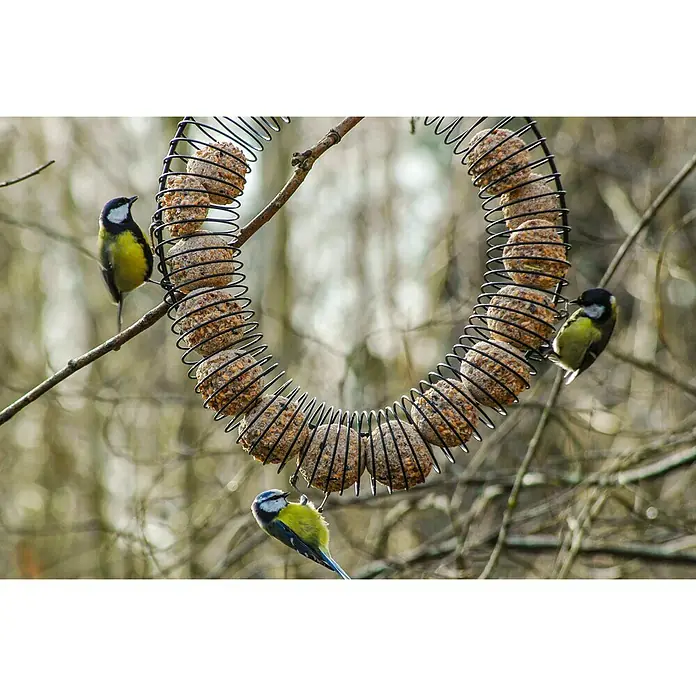 Riesenfutterring - Metall, Pulverbeschichtet, Schwarz - Anwendungsbeispiel