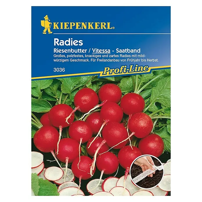 Kiepenkerl Profi-Line Gemüsesamen Vitessa - Raphanus sativus var. sativus, Erntezeit: Juni - Vorderansicht