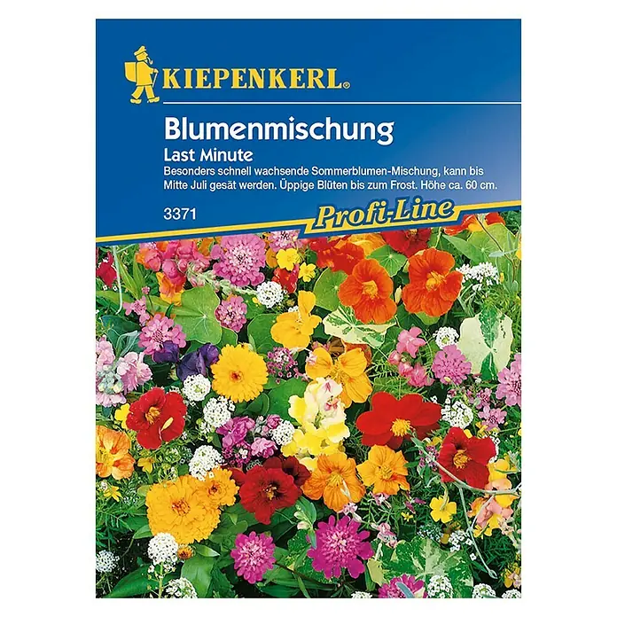 Kiepenkerl Profi-Line Blumensamenmischung Last Minute - Verschiedene Sorten, Blütezeit: Juli, 4 m² - Vorderansicht