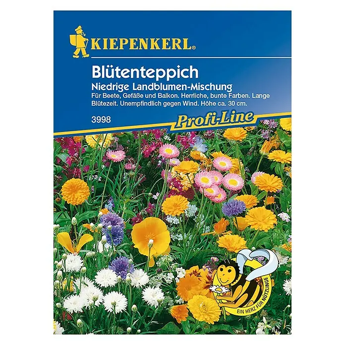 Kiepenkerl Blumensamenmischung Blütenteppich - Verschiedene Sorten, Blütezeit: Juni, 2 m² - Vorderansicht
