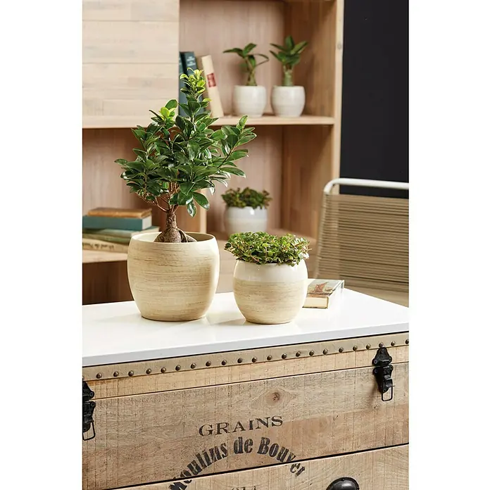 SK Übertopf rund Alberta Fashion - Außenmaß (Ø x H): 15 x 13 cm, Creme, Keramik, Matt - Stimmungsaufnahme