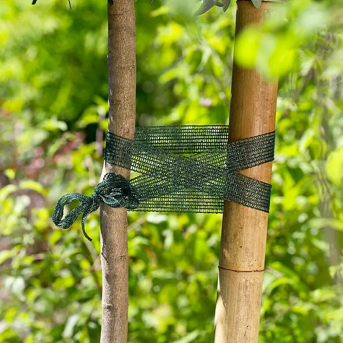 Gardol Mreža za vezanje drveta - 50 m x 3 cm - Proizvod u upotrebi