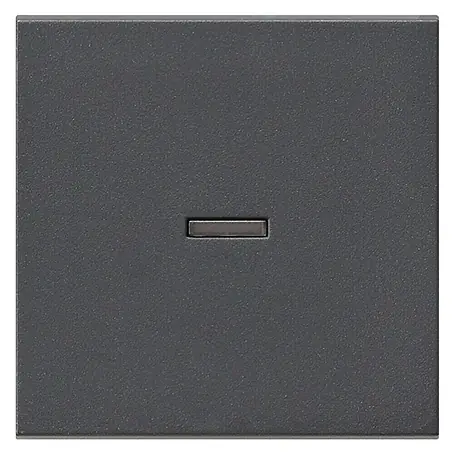 Gira System 55 Kontrollschalterwippe