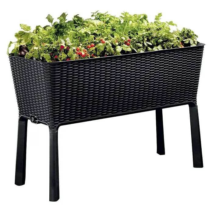 Keter Visoka gredica Easy Grow - 114 x 49,3 x 75,7 cm, Plastika - Pogled s lijeve strane