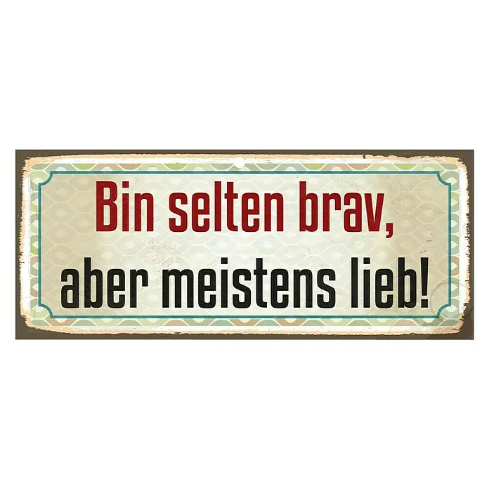 Blechschild - Antik/Vintage/Retro, 60 x 25 cm, Bin selten brav, aber ... - Vorderansicht