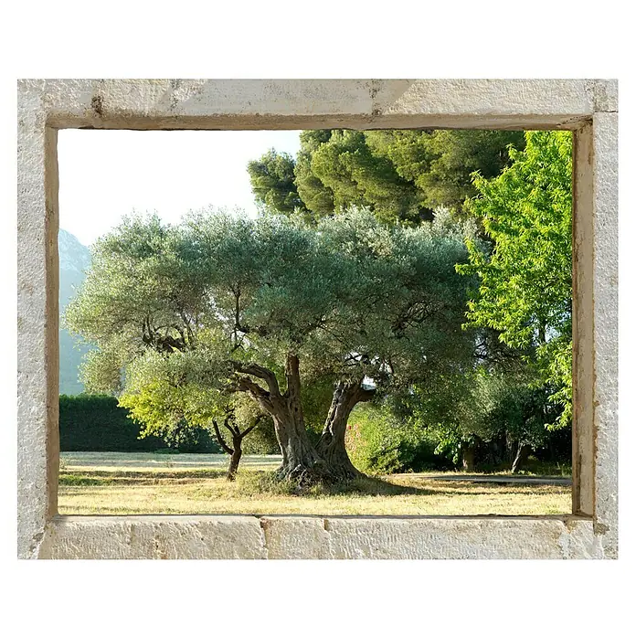 Vinilo forma ventana - Olivo, 75 x 60 cm - Vista frontal