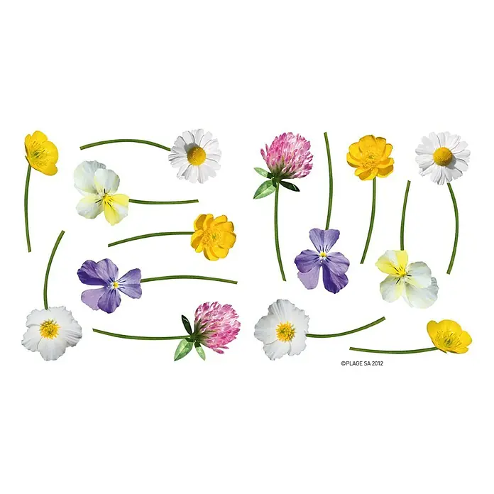 Adhesivos decorativos - Flores silvestres - Vista frontal