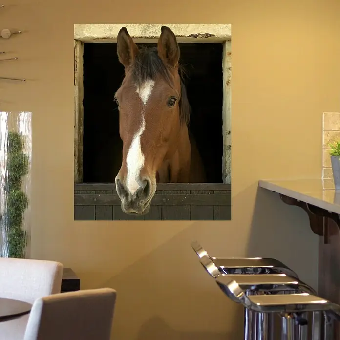 Vinilo forma ventana - Caballo, 75 x 60 cm - Foto ambiente