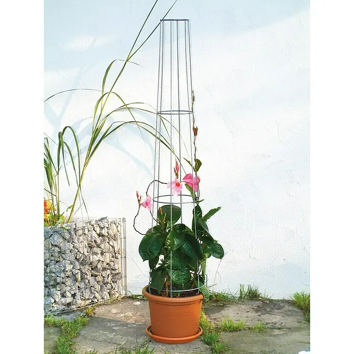 Bellissa Ranksäule Aktion - Höhe: 130 cm, Durchmesser: 28 cm - Stimmungsaufnahme