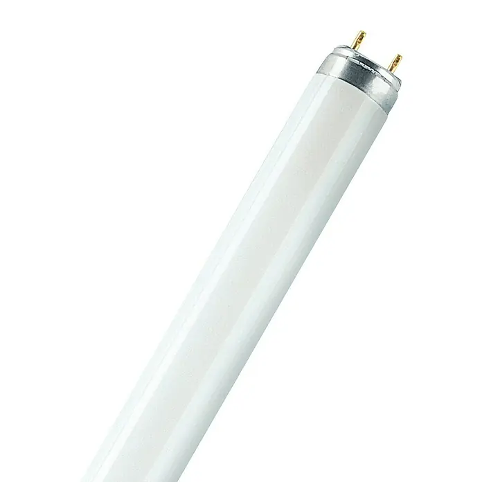 Osram Leuchtstoffröhre Interna - T8, Warmweiß, 16 W, Länge: 72 cm - Rechte Seitenansicht