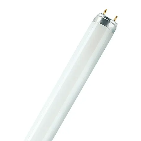 Osram  Leuchtstoffröhre Interna