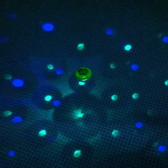 Steinbach Unterwasser-Lichtshow - Leuchtmittel: LED - Anwendungsbeispiel