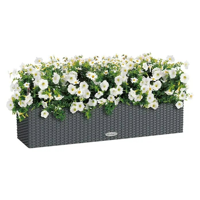 Lechuza Cottage Balkonkasten Balconera - Max. Außenlänge: 80 cm, Granit - Vorderansicht