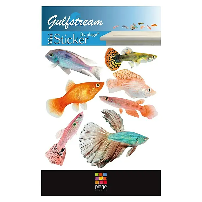 Adhesivos decorativos - Pez tropical - Vista descendente