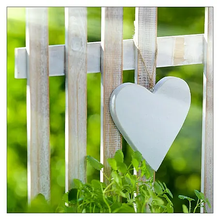 Glasbild