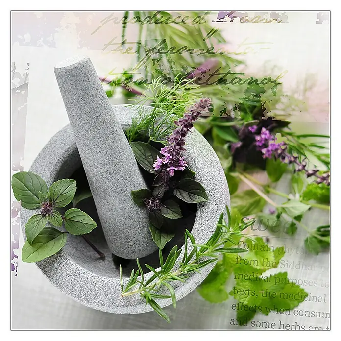 ProArt Glasbild - Herbage Pestle II, B x H: 30 x 30 cm - Vorderansicht