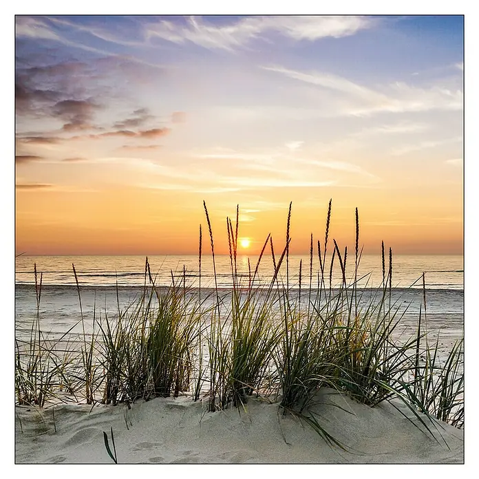 ProArt Maritime Glasbild - Lonely Dune, B x H: 20 x 20 cm - Vorderansicht