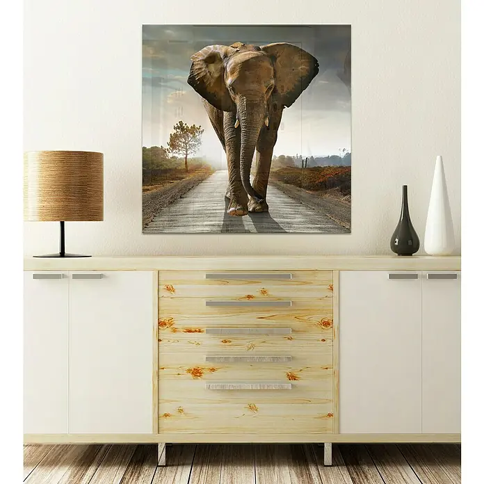 Glasbild - Elephant, B x H: 80 x 80 cm - Stimmungsaufnahme